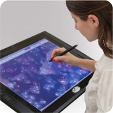 BioView автоматизированная платформа для визуализации клеток
